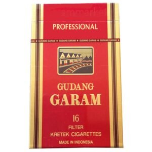 Gudang Garam Professional